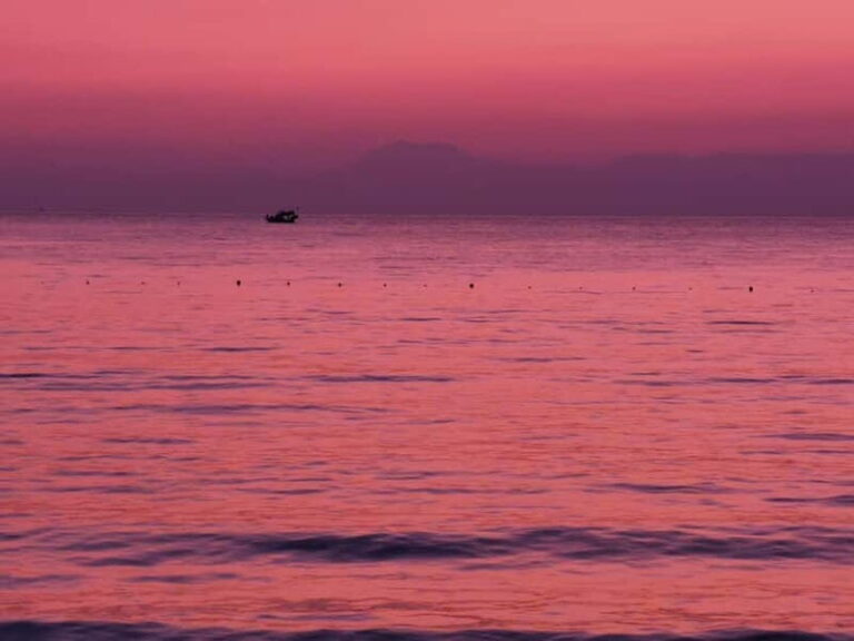 From city of Side: Dolphin Watching Boat Tour with Lunch - The Start: Easy Transfers and Comfort