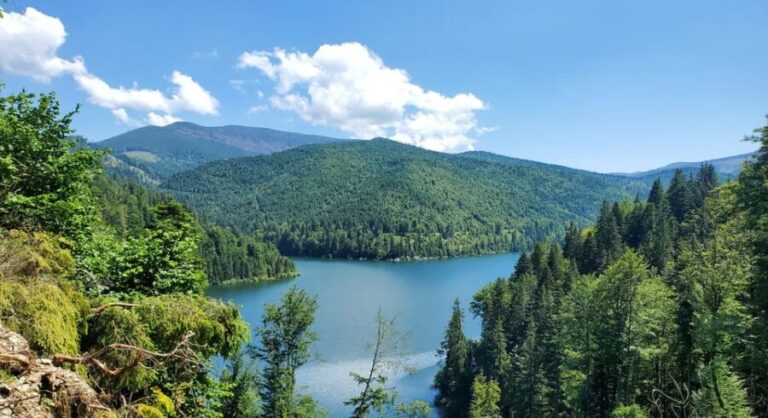 From Cluj: Mountain Bike around Lake Dragan - What’s Included and What to Bring