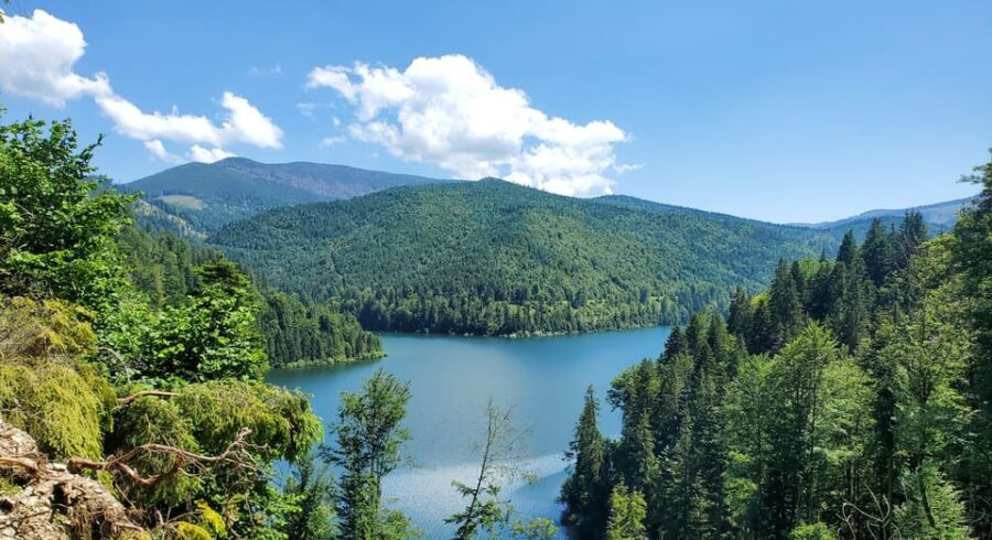 From Cluj: Mountain Bike around Lake Dragan - What’s Included and What to Bring