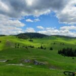 From Cluj-Napoca: Carpathian Mountains Guided Scenic Hike - What’s Included and What’s Not?