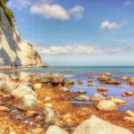 From Copenhagen: Private Tour to Monsklint and Forest Tower - The Value of a Private, Eco-Conscious Tour