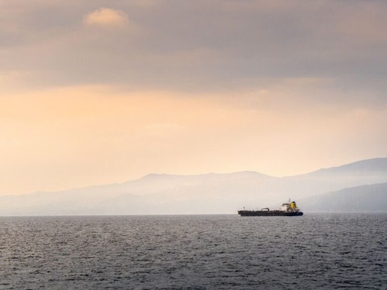 From Costa del Sol: Day Trip to Gibraltar with Guided Tour - Who Would Love This Tour?