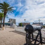 From Costa del Sol: Gibraltar Dolphin Watching by Boat - Practical Tips for Making the Most of the Tour