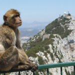 From Costa del Sol: The Gibraltar classic Rock tour - Key Points