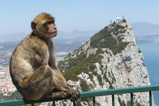 From Costa del Sol: The Gibraltar classic Rock tour - Key Points