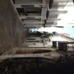 From Costa Dorada: Peñíscola and Ebro Delta Sightseeing Tour - Exploring the Ebro Delta: Nature, Birds, and Rice Fields