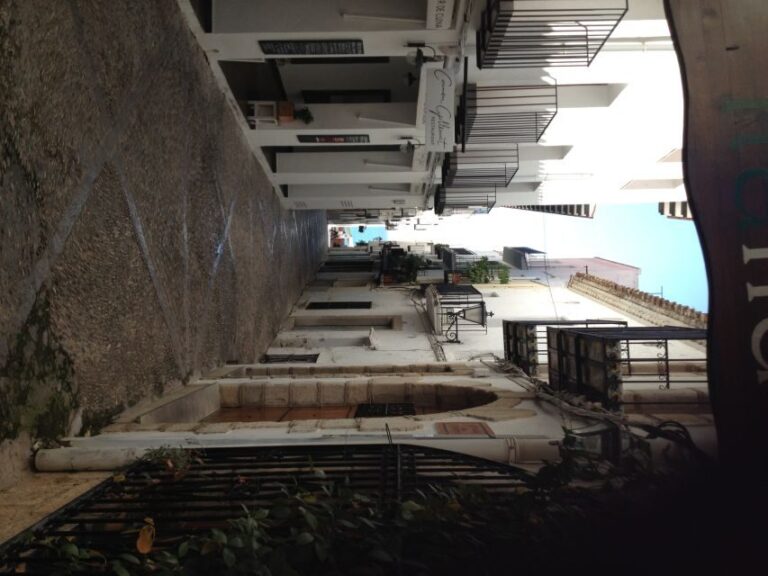 From Costa Dorada: Peñíscola and Ebro Delta Sightseeing Tour - Exploring the Ebro Delta: Nature, Birds, and Rice Fields