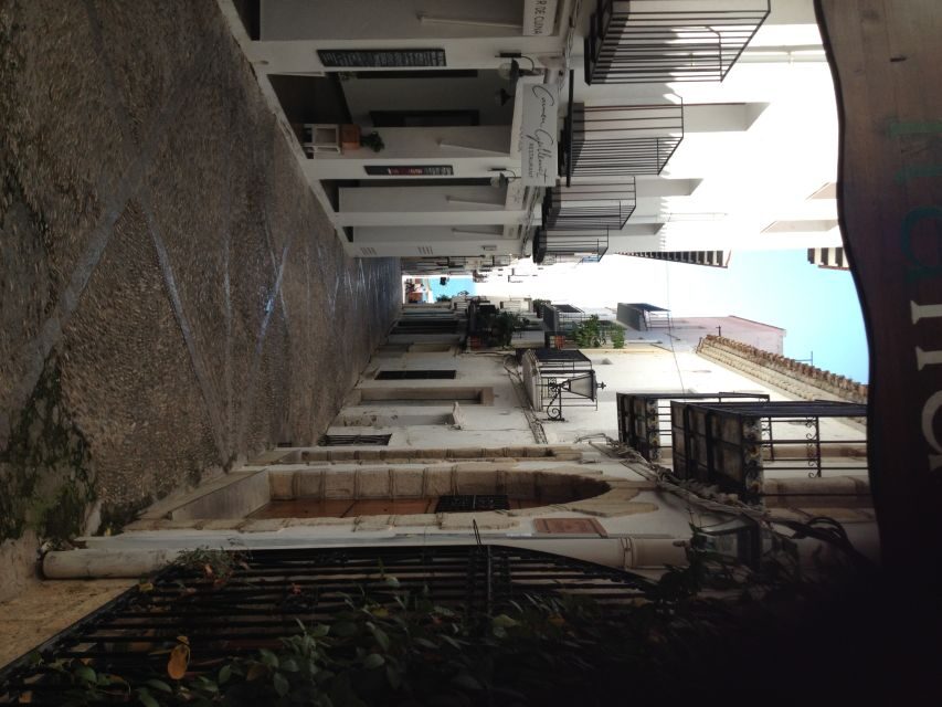 From Costa Dorada: Peñíscola and Ebro Delta Sightseeing Tour - Exploring the Ebro Delta: Nature, Birds, and Rice Fields