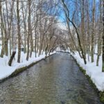 From Covilhã: Serra da Estrela Guided Tour with Lunch - Practical Tips for Travelers