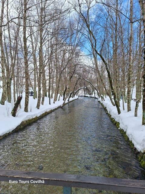 From Covilhã: Serra da Estrela Guided Tour with Lunch - Practical Tips for Travelers