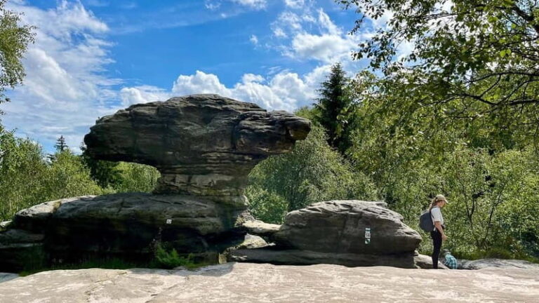 From Dresden: Bastei Bridge & Bohemian Switzerland Day Trip - Crossing the Iconic Bastei Bridge