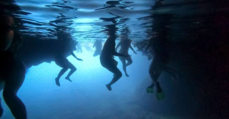 From Dubrovnik/Cavtat: Blue Cave, Sunj Beach Speed Boat Tour - What’s Included and What to Know