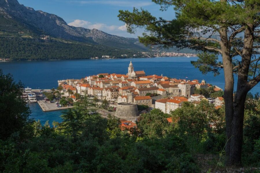 From Dubrovnik: Guided Tour of Peljeac & Korula - A Detailed Look at the Tour Experience