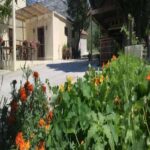 From Dubrovnik: Half-Day Wine Tasting and Cavtat City Tour - The Journey Through the Konavle Valley and Cavtat