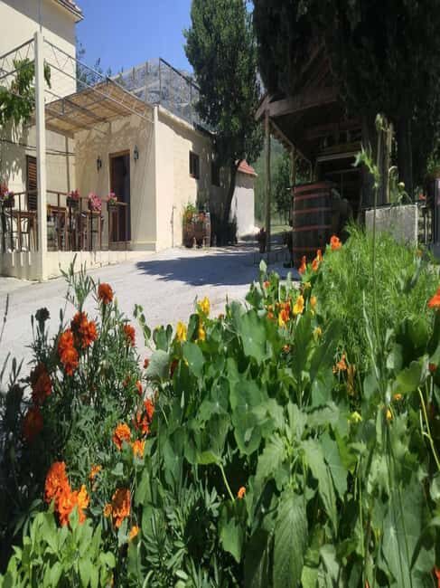 From Dubrovnik: Half-Day Wine Tasting and Cavtat City Tour - The Journey Through the Konavle Valley and Cavtat