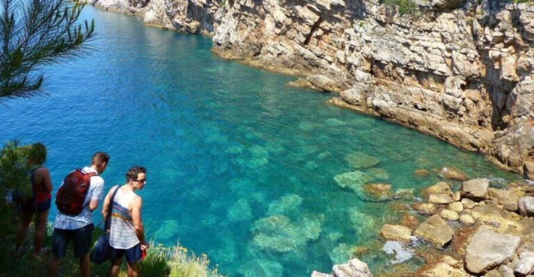 From Dubrovnik: Hiking & Swimming on Koloep Island Day Trip - Who Would Love This Tour?