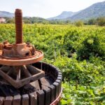 From Dubrovnik: Island of Korula with wine tasting - Authentic Insights and Tips for Travelers