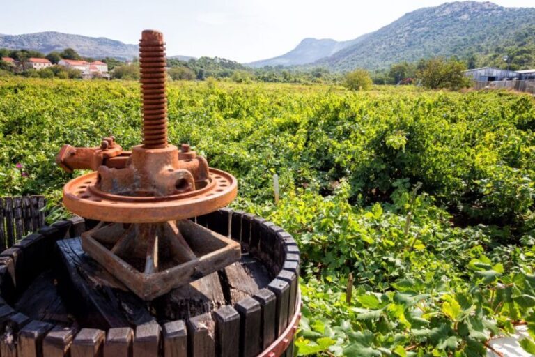 From Dubrovnik: Island of Korula with wine tasting - Authentic Insights and Tips for Travelers