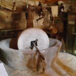 From Dubrovnik: Majkovi Village and Ston Private Food Tour - Who Will Love This Tour?