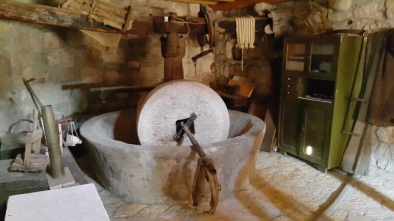 From Dubrovnik: Majkovi Village and Ston Private Food Tour - Who Will Love This Tour?