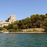 From Dubrovnik: Mljet Island Guided Catamaran Day Tour - Practical Details and Tips