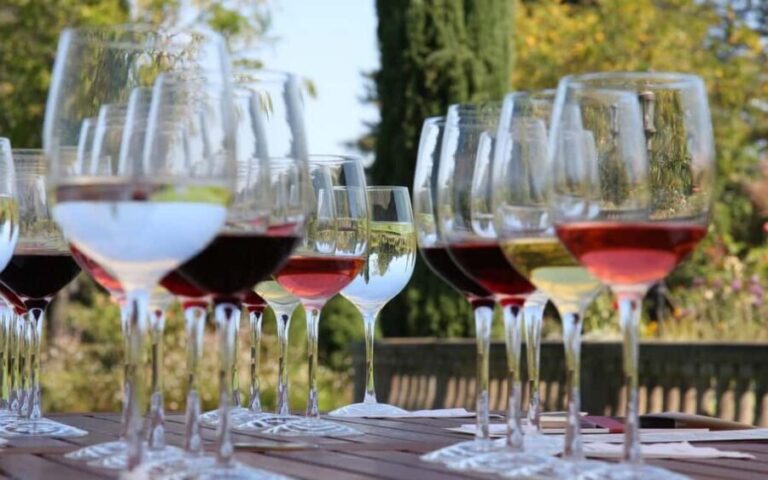 From Dubrovnik: Private Day Trip to Ston & Korula & wine - Who Is This Tour Best For?