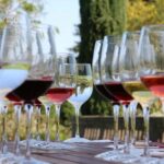From Dubrovnik Private Wine Tasting Tour - Exploring the Dubrovnik Private Wine Tasting Tour