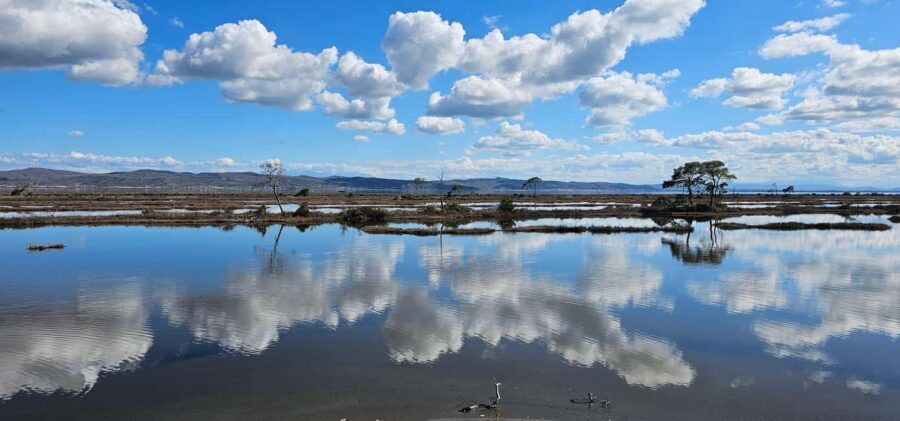 From Durrës: Divjakë-Karavasta National Park Day Trip - FAQ