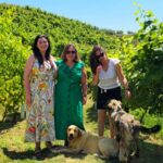 From Durrës/Golem: Vineyards, Wine Food Tasting & Boat Tour - The Itinerary Breakdown: What You Can Expect