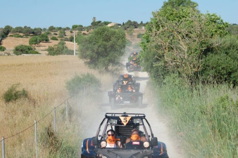 From East Mallorca: Guided Beach and Mountain Buggy Tour - Final Thoughts