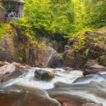 From Edinburgh: Full Day Scottish Highlands and Whisky Tour - A Deep Dive into What to Expect