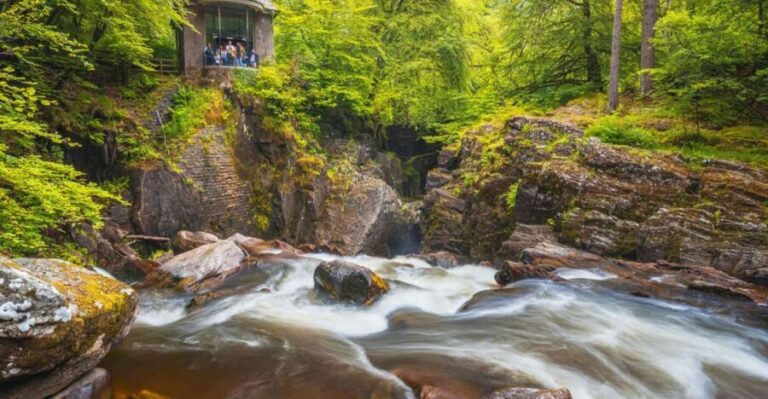 From Edinburgh: Full Day Scottish Highlands and Whisky Tour - A Deep Dive into What to Expect