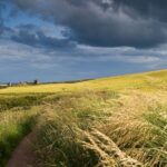 From Edinburgh: Glamis and Dunnottar Castles Tour in Italian - Transportation and Practicalities