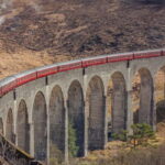 From Edinburgh: Glenfinnan, Fort William and Highland Cows - The Practical Side: What to Expect