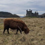From Edinburgh: West Highlands Luxury Private Day Tour - Who Is This Tour Best For?