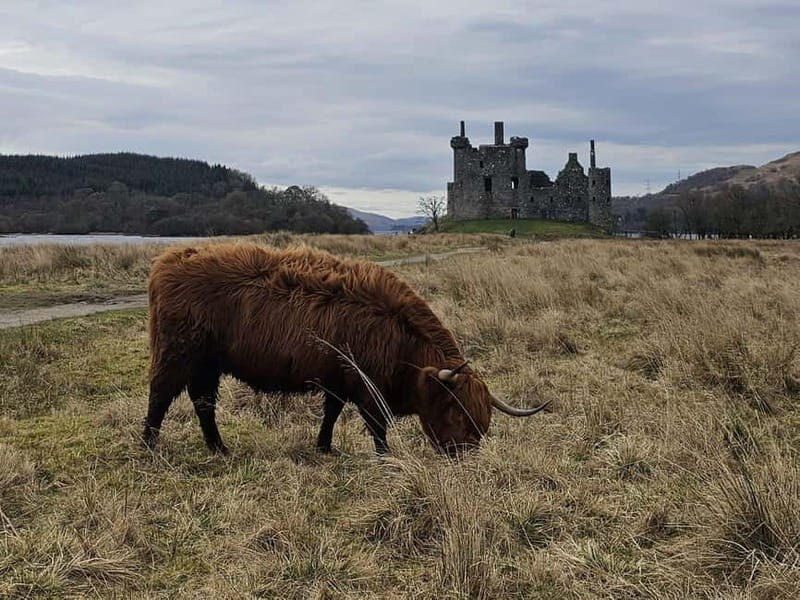 From Edinburgh: West Highlands Luxury Private Day Tour - Who Is This Tour Best For?
