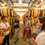 From Epernay Full day Electric bike Champagne and lunch - The Lunch Experience