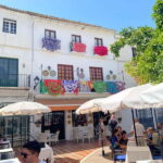 From Estepona, Mijas, Marbella: Marbella Tour Private Transport Tapas Drinks - An in-depth look at this Marbella tour