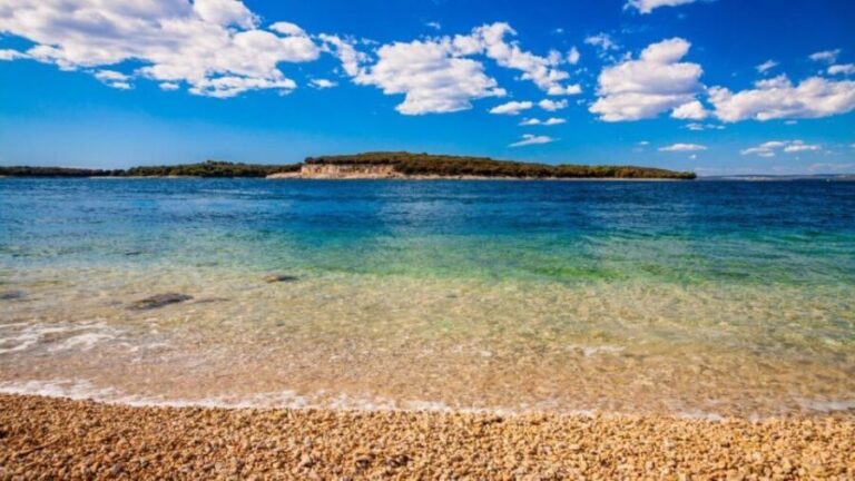 From Faana: Private boat tour of Brijuni Islands - Who Is This Tour For?