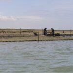 From Faro: 2-Hour Guided Bird Watching Boat Trip - An In-Depth Look at the Tour Experience