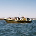 From Faro: Ria Formosa Eco Tour guided by Marine Biologist - Who Will Love This Tour?