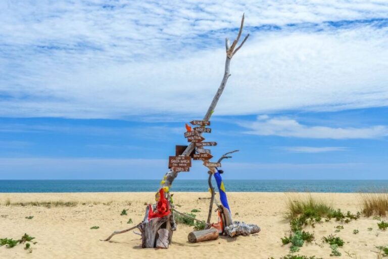 From Faro: Ria Formosa Eco Tour guided by Marine Biologist - Who Would Love This Experience?