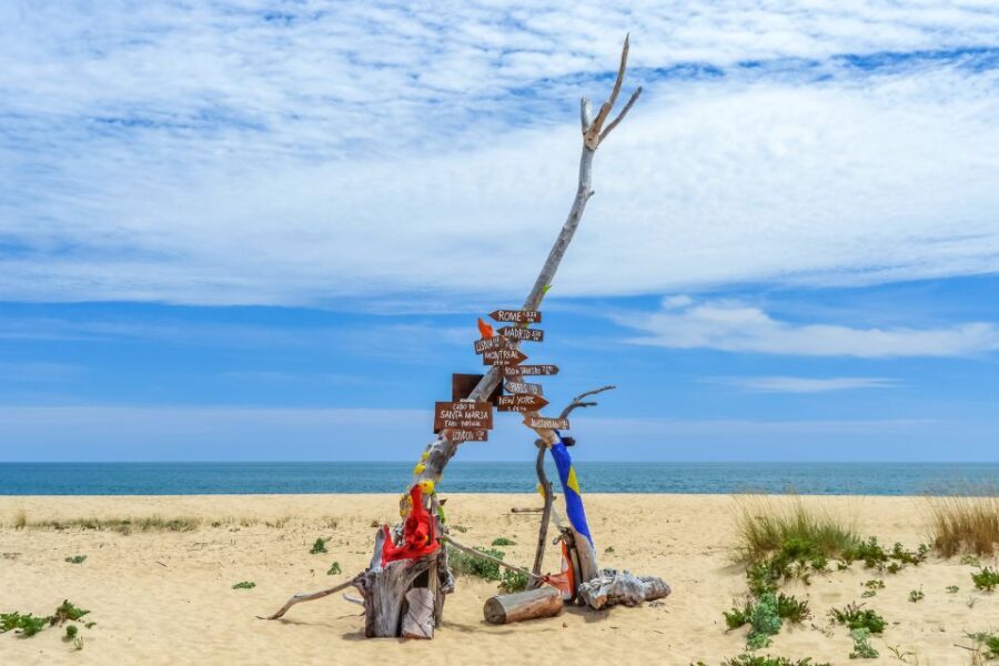 From Faro: Ria Formosa Eco Tour guided by Marine Biologist - Who Would Love This Experience?