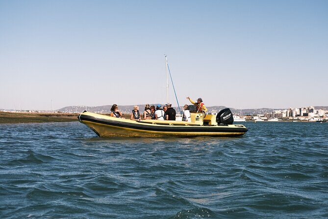 From Faro: Ria Formosa Eco Tour guided by Marine Biologist - Who Will Love This Tour?