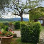 From Florence: Chianti Half-Day Afternoon Tour - A Deep Dive into the Experience