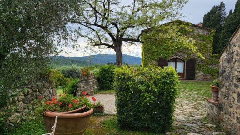 From Florence: Chianti Half-Day Afternoon Tour - A Deep Dive into the Experience