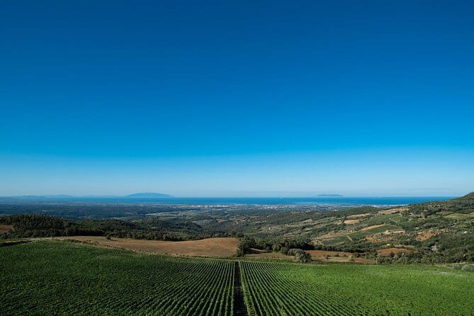 From Florence PRIVATE:Bolgheri Wine Tour,tasting among the Tuscany coastal hills - Value and Cost Analysis