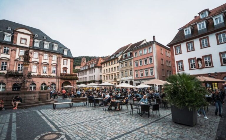 From Frankfurt: Day Tour to Heidelberg with Local Guide - Who Should Opt for This Tour?