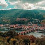 From Frankfurt: Heidelberg & Rothenburg Daytour - Who Will Enjoy This Tour?