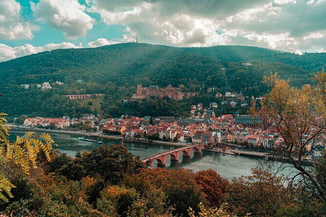 From Frankfurt: Heidelberg & Rothenburg Daytour - Who Will Enjoy This Tour?